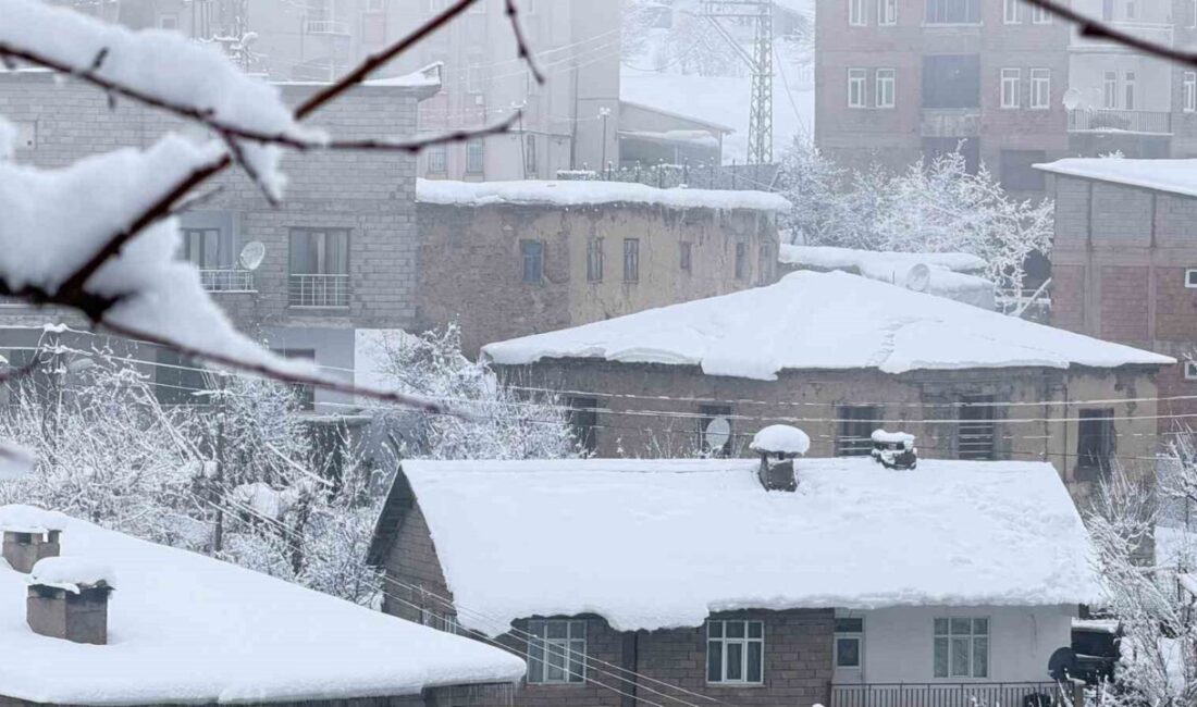 Hakkari’de etkili olan yoğun kar yağışı nedeniyle 160 köy ve