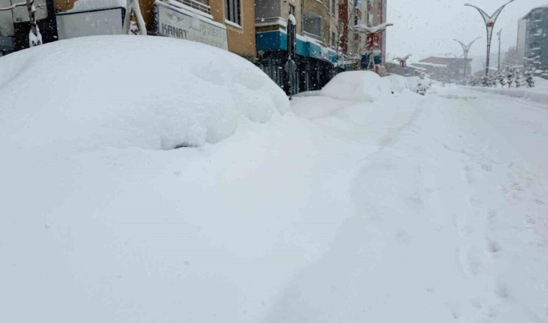 Hakkari’de etkili olan yoğun kar yağışı nedeniyle 357 yerleşim yerinin