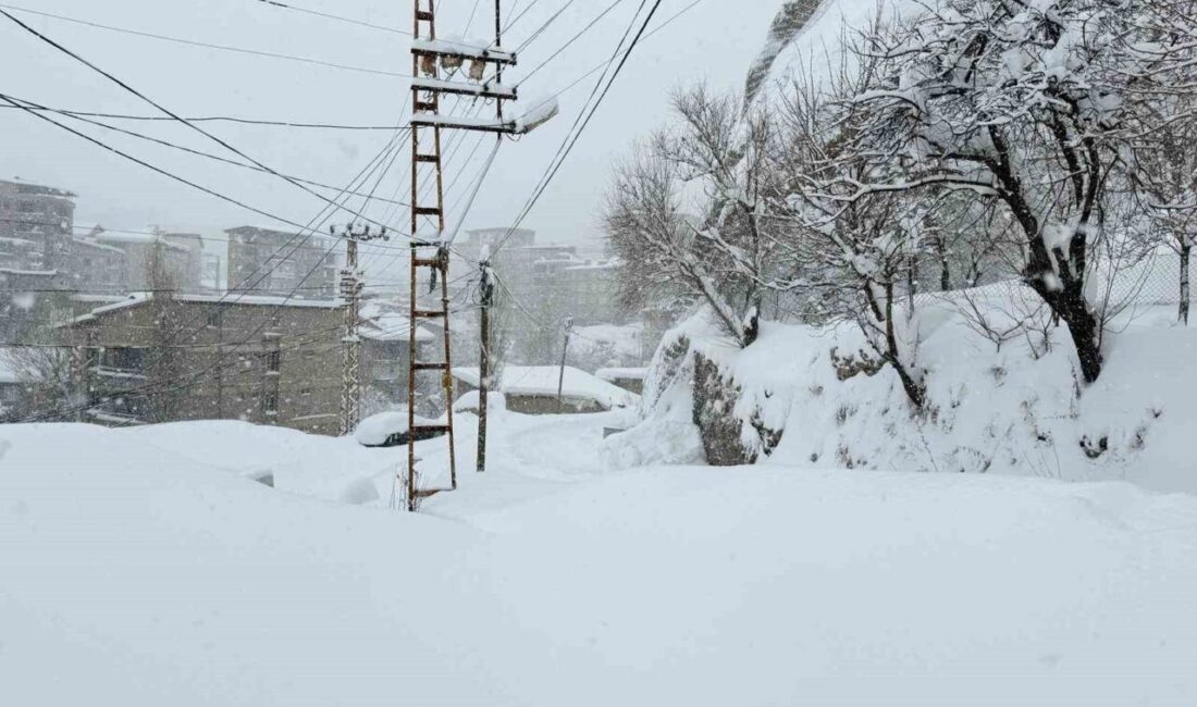 HAKKARİ (İHA) – Hakkari’de etkili olan kar yağışı nedeniyle 43