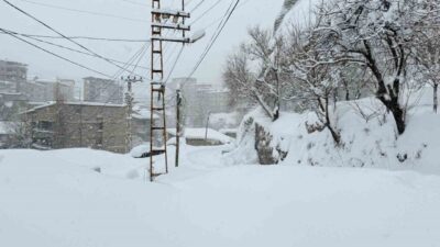 HAKKARİ (İHA) – Hakkari’de etkili olan kar yağışı nedeniyle 43
