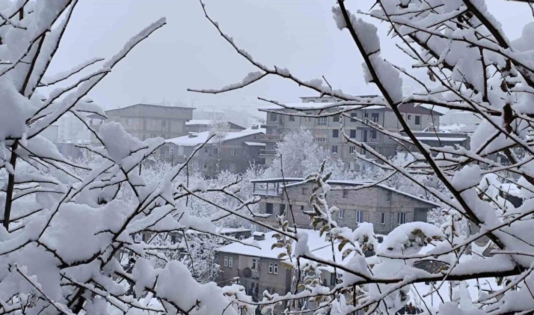 Hakkari’de yoğun kar yağışı nedeniyle kapanan onlarca köy ve mezra