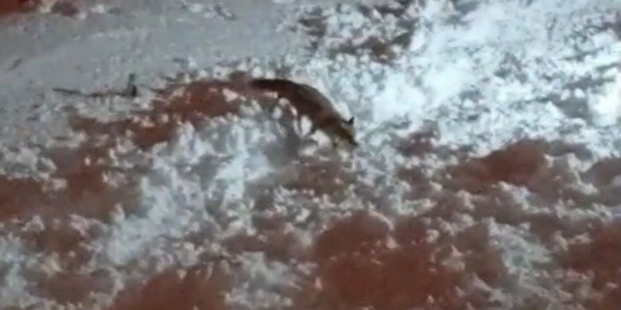 Hakkari’de etkili olan yoğun kar yağışı ve dondurucu soğuklardan dolayı