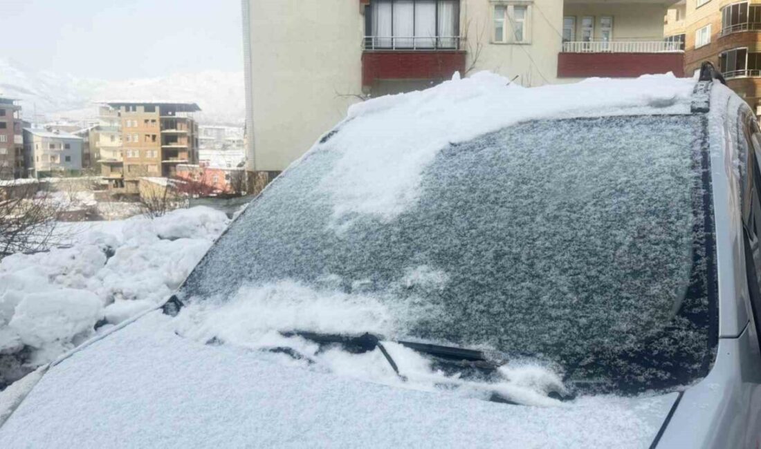 HAKKARİ (İHA) – Kar yağışının ardından dondurucu soğukların etkisini artırdığı