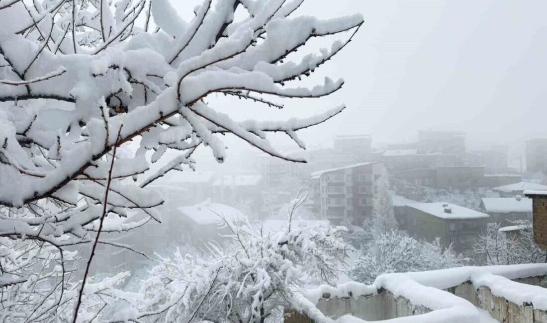 HAKKARİ (İHA) – Hakkari’de kar kalınlığı yüksek kesimlerde 3, şehir
