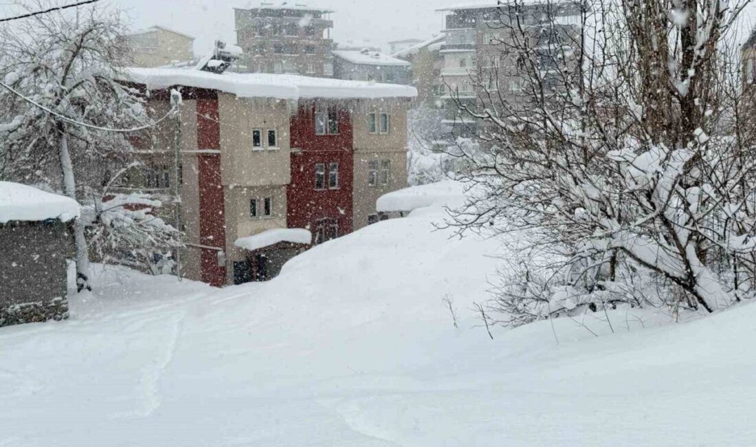 HAKKARİ (İHA) – Hakkari’de yoğun kar yağışı, çığ ve buzlanma