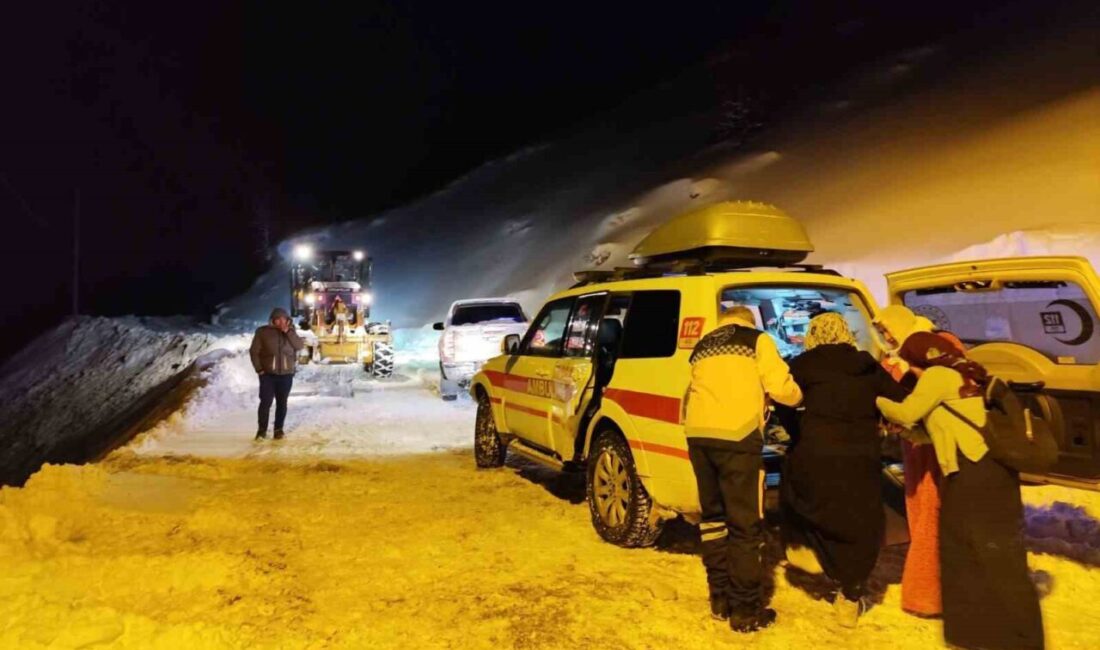 Van’ın Bahçesaray ilçesinde rahatsızlanan hamile kadın, ekiplerin karlı yolları 5.5