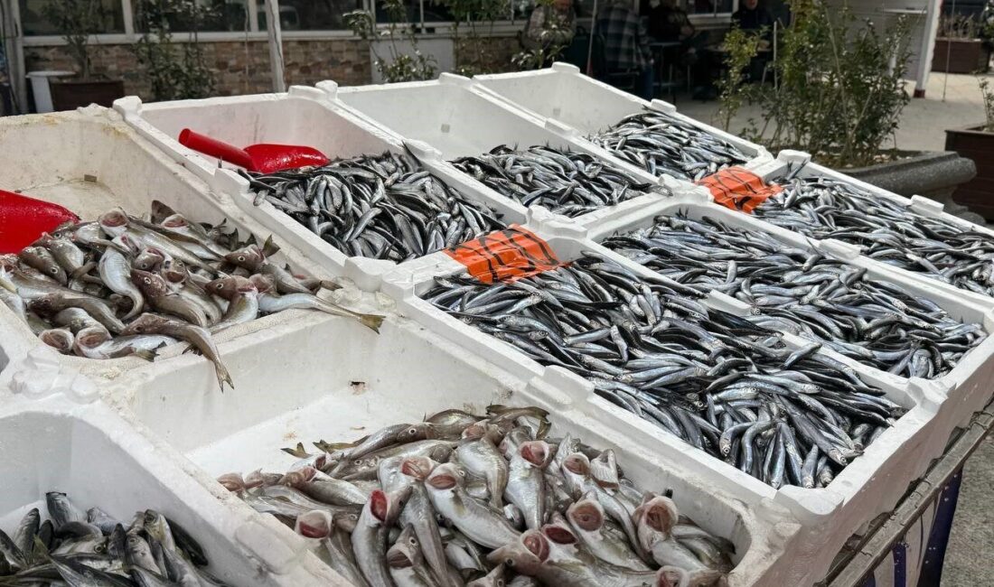 Zonguldaklı balıkçı esnafı Oktay Ertürk, balık sezonunun gidişatını ve fiyatlardaki