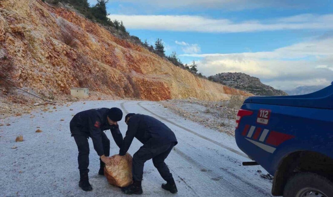 Bilecik’te eşsiz güzelliğiyle günde yüzlerce kişinin ziyaret ettiği Harmankaya Tabiat