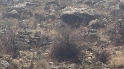 Batman’ın Hasankeyf ilçesinde yürekleri ısıtan bir olay yaşandı. Kara köyü