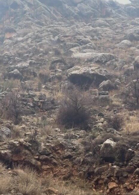 Batman’ın Hasankeyf ilçesinde yürekleri ısıtan bir olay yaşandı. Kara köyü