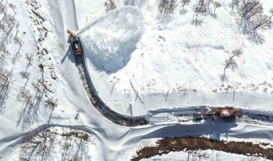 Muş’un Hasköy ilçesi ile Bitlis’in Mutki ilçesini birbirine bağlayan güvenlik