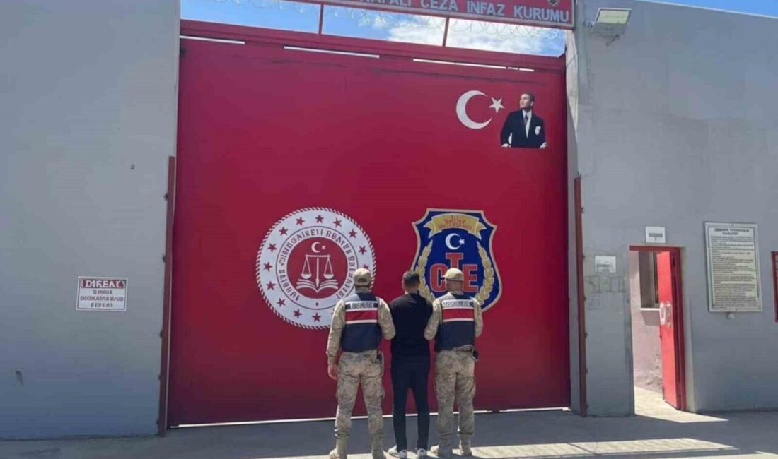 Hatay İl Jandarma Komutanlığı ekiplerince yürütülen çalışmalar kapsamında, 7 ayrı