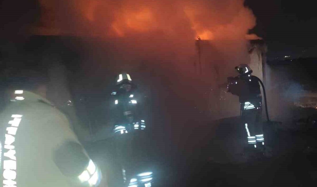 Hatay’da alevlere teslim olan konteyner kullanılmaz hale geldi. Yangın, Antakya