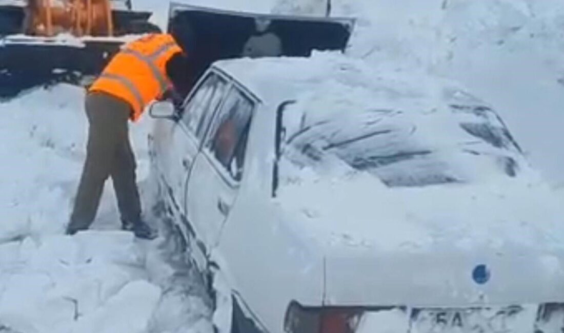 Tokat’ın Niksar ilçesinde hayvanlara yem bırakmak için Ordu Perşembe Yaylası’na