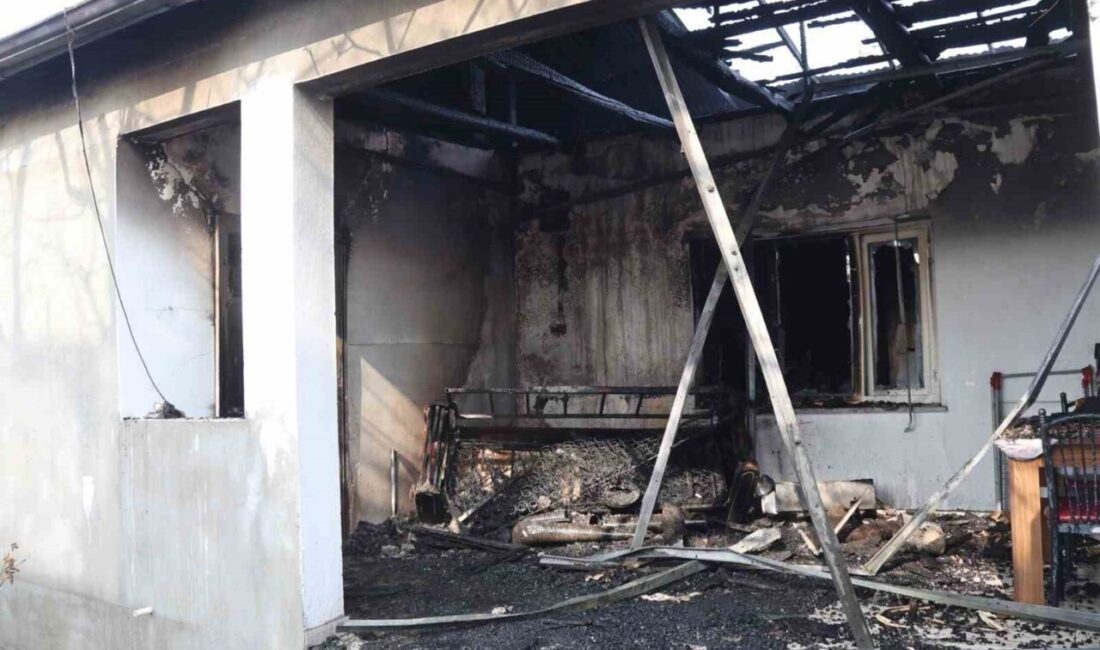 Iğdır’da biri apartman çatı katında, diğeri ise köyde ahşap bir