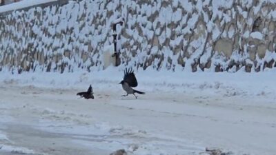 Malatya’nın Darende ilçesinde etkili olan kar yağışı sonrası ilçe beyaza