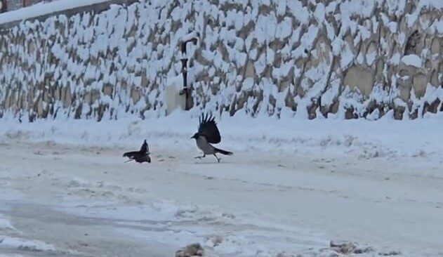 Malatya’nın Darende ilçesinde etkili olan kar yağışı sonrası ilçe beyaza