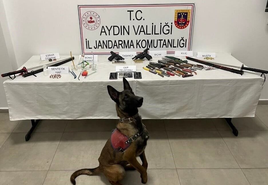 Aydın’ın İncirliova ilçesinde jandarma tarafından yapılan operasyonda uyuşturucu ve silah