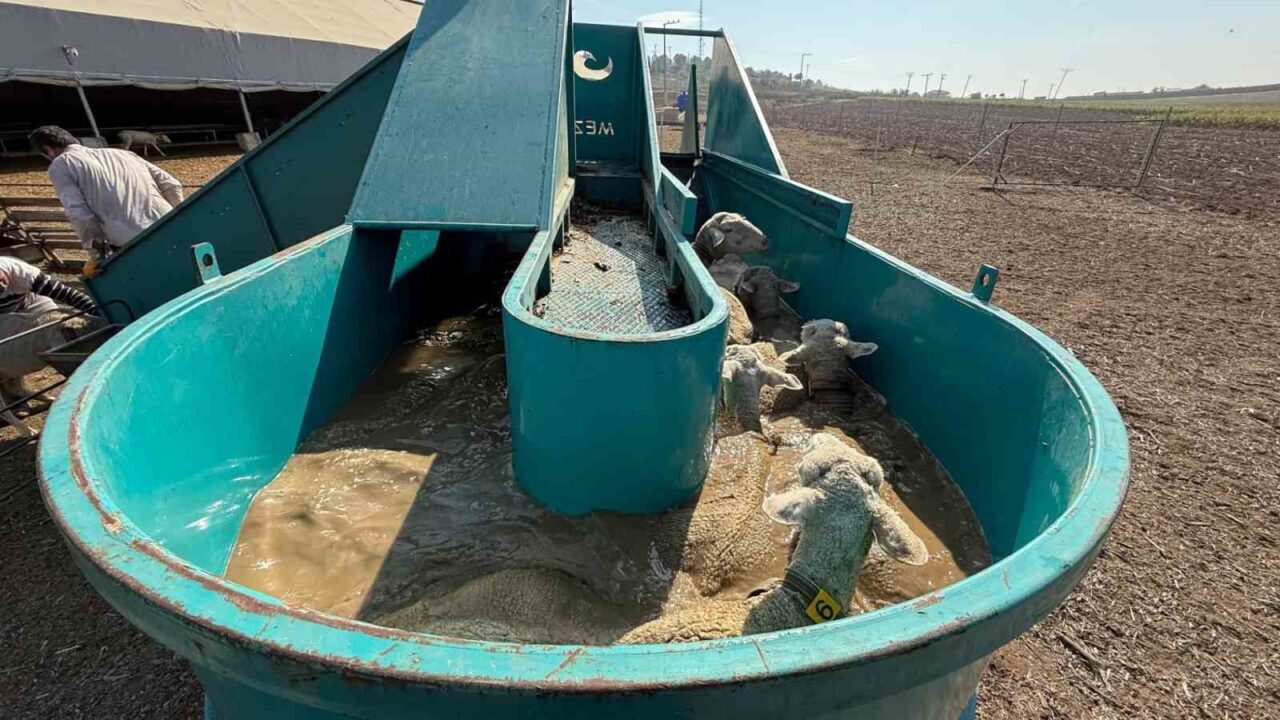 İnegöl Belediyesi, tarımı güçlendirmek ve üreticiyi desteklemek adına uyguladığı politikalarla