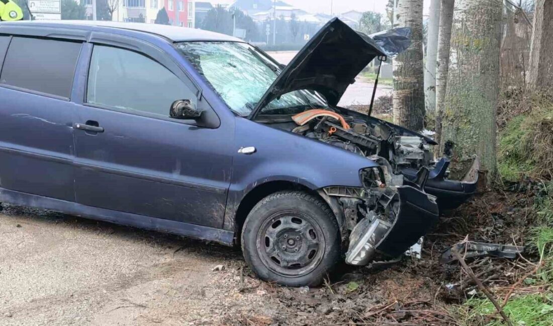 Bursa’nın İnegöl ilçesinde kontrolden çıkan otomobilin kaldırıma ve ağaca çarptığı
