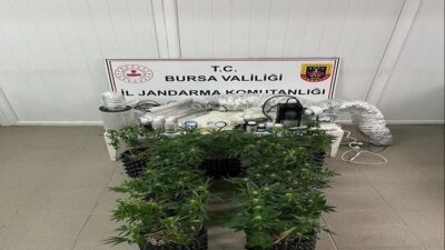 Bursa’nın İnegöl ilçesinde bir evde esrar üretiminde kullanılan bitkiler ve