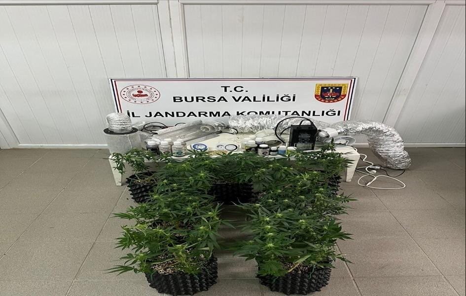 Bursa’nın İnegöl ilçesinde bir evde esrar üretiminde kullanılan bitkiler ve