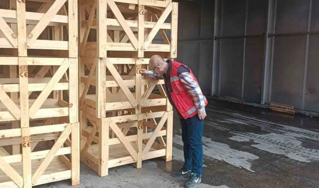 Afyonkarahisar’da ısıl işlem fırınları bulunan işletmelere yönelik denetim yapıldı. Denetim