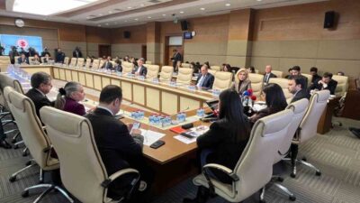 İstanbul İl Emniyet Müdürlüğü, TBMM Suça Sürüklenen Çocuklara İlişkin Araştırma