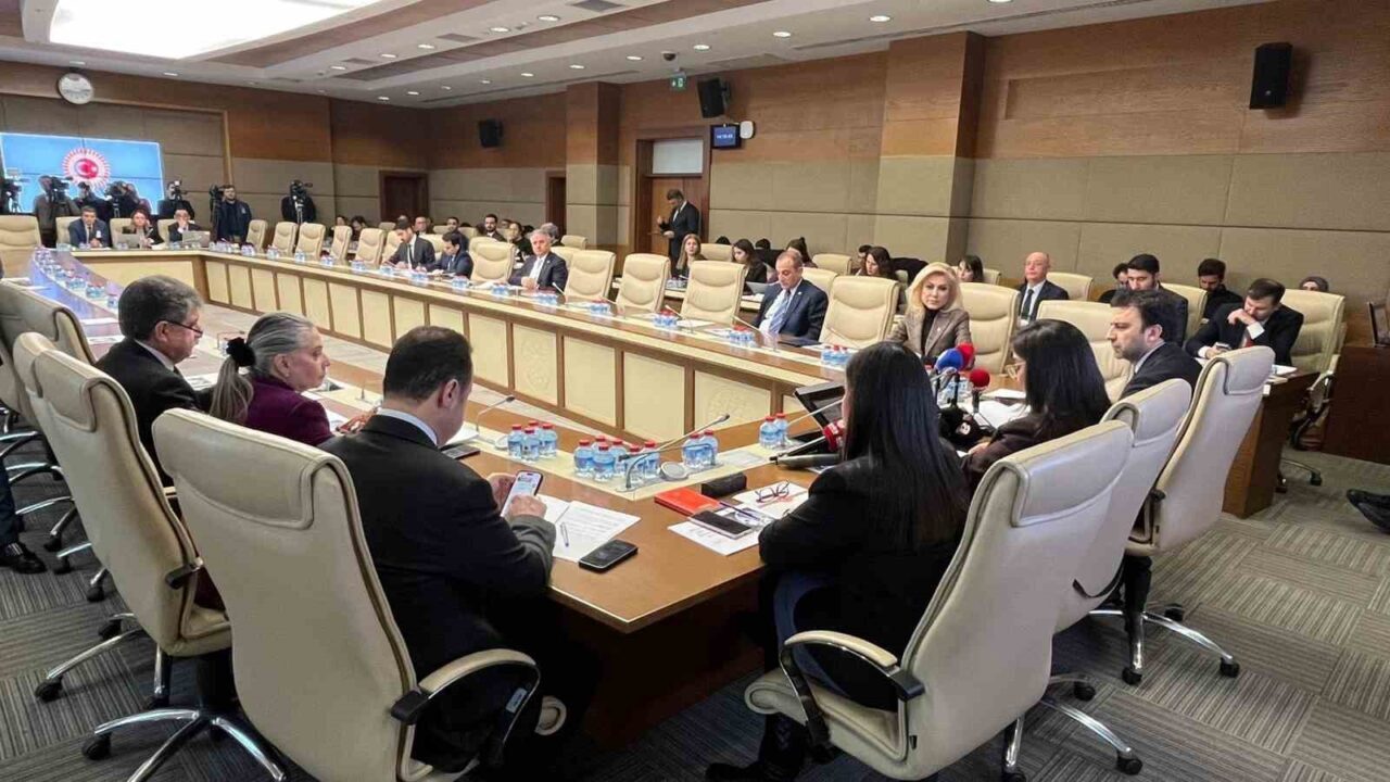 İstanbul İl Emniyet Müdürlüğü, TBMM Suça Sürüklenen Çocuklara İlişkin Araştırma