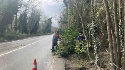 Afet Koordinasyon Merkezi (AKOM), İstanbul için yaklaşık bir haftadır etkili