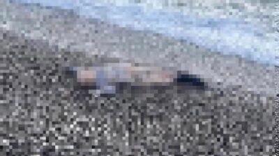 İzmir’in Karaburun ilçesinde sahil şeridinde 5-6 yaşlarında bir erkek çocuğuna