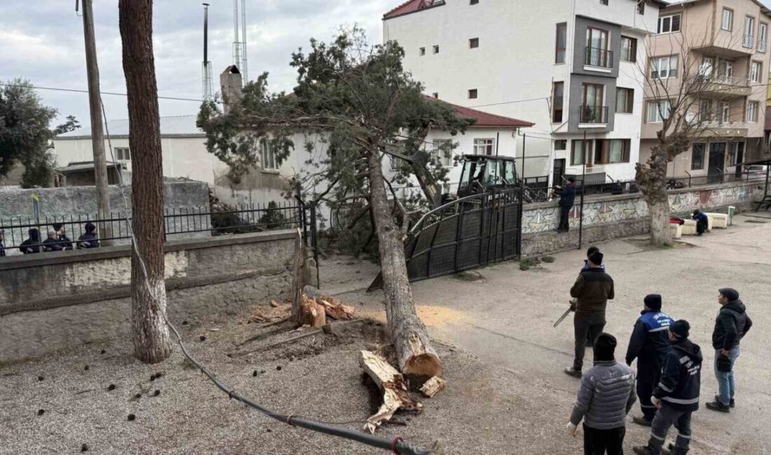 BURSA (İHA) – Bursa’nın İznik ilçesi Mustafakemalpaşa Mahallesi’nde etkili olan