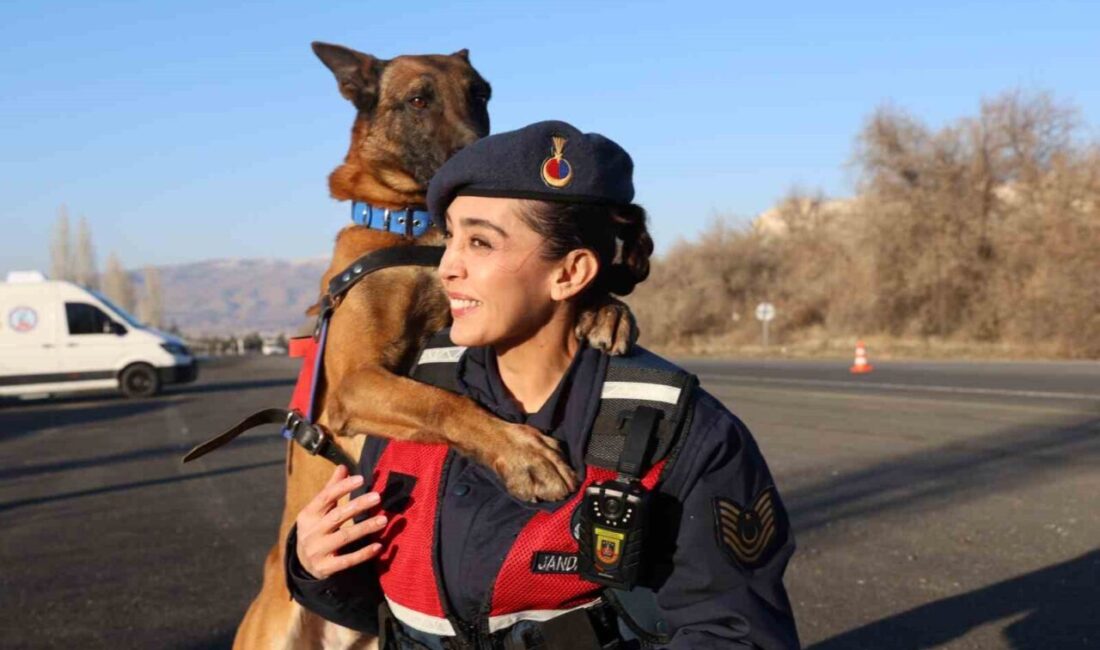 Jandarma Genel Komutanlığı bünyesinde faaliyet gösteren Jandarma At ve Köpek