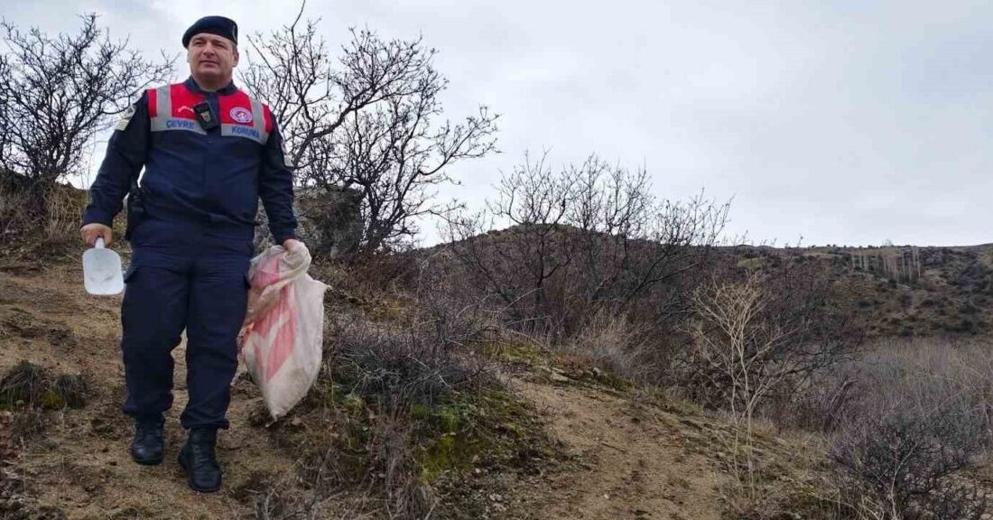 Yozgat’ta Jandarma ekipleri yaban hayvanları için doğaya yem bıraktı. Jandarma