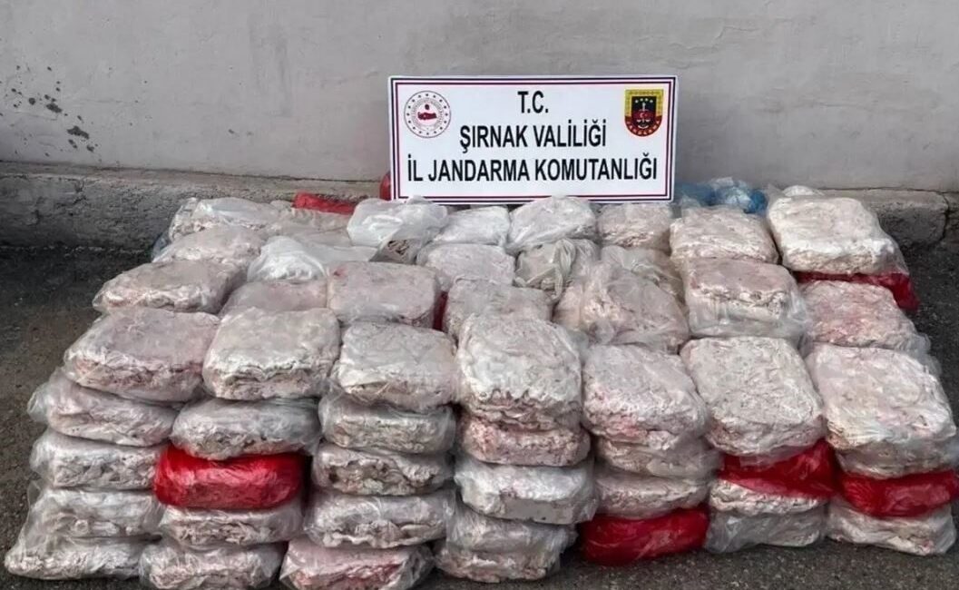 Şırnak’ta geçen yıl yürütülen operasyonlarla uyuşturucu imal ve ticareti yapan