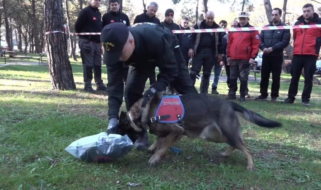 Tekirdağ İl Jandarma Komutanlığı ekipleri, iz takip köpeği ‘Mercek’in katılımıyla