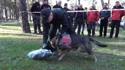 Tekirdağ İl Jandarma Komutanlığı ekipleri, iz takip köpeği ‘Mercek’in katılımıyla