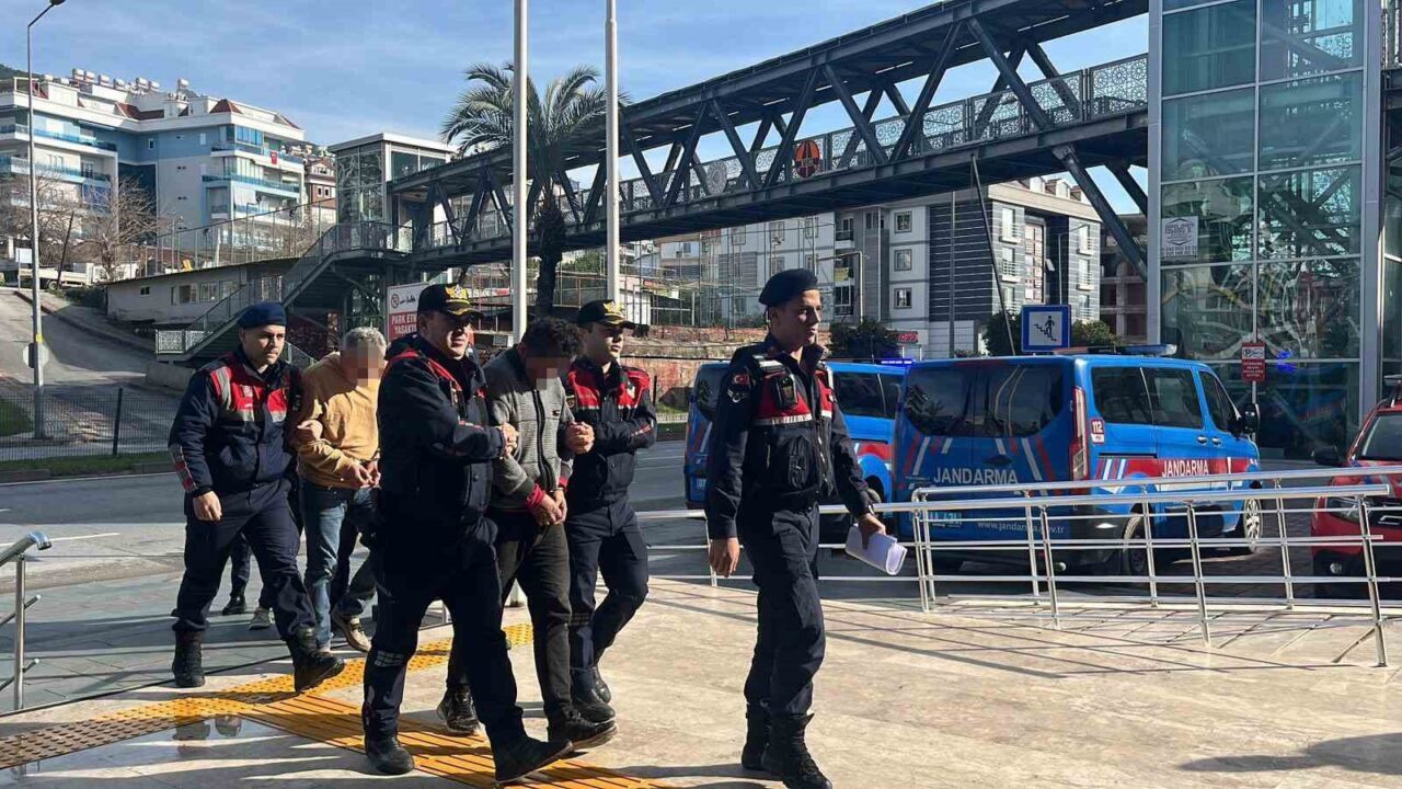 Antalya’nın Alanya ilçesinde bir bahçeden 500 bin liralık avokado çalan