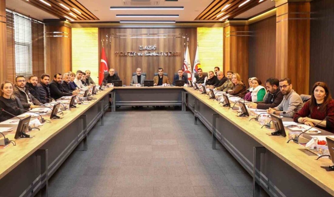 Jeoloji ve jeofizik mühendisliği alanında faaliyet gösteren sektör yöneticileri, Elazığ