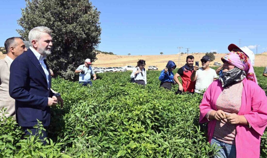 Kahramanmaraş Büyükşehir Belediyesi, fidan desteklerinden sulama borularına, sulama tesislerinden kanallara