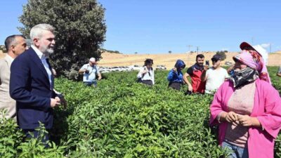 Kahramanmaraş Büyükşehir Belediyesi, fidan desteklerinden sulama borularına, sulama tesislerinden kanallara