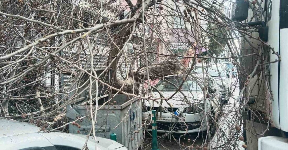 Balıkesir’in Bandırma ilçesinde seyir halinde kamyon çınar ağacına çarpması sonrası