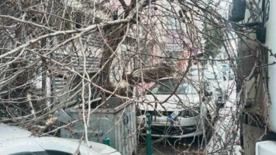 Balıkesir’in Bandırma ilçesinde seyir halinde kamyon çınar ağacına çarpması sonrası