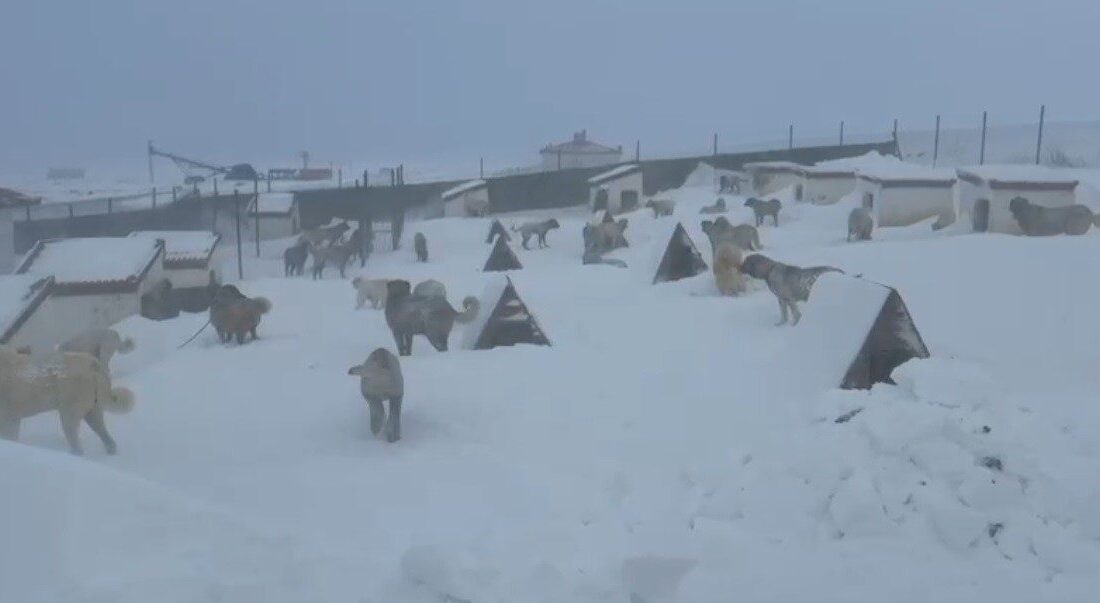 Yoğun kar yağışı ve tipinin etkili olduğu Sivas’ın Altınyayla ilçesinde