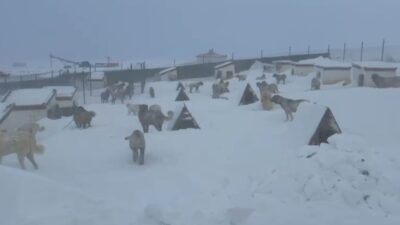 Yoğun kar yağışı ve tipinin etkili olduğu Sivas’ın Altınyayla ilçesinde