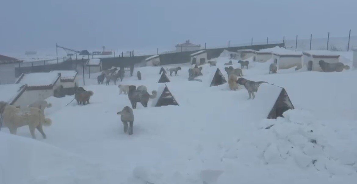 Yoğun kar yağışı ve tipinin etkili olduğu Sivas’ın Altınyayla ilçesinde