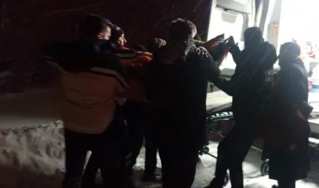 Ağrı’nın Patnos ilçesine bağlı Bozoğlak Köyü’nde ikamet eden 72 yaşındaki