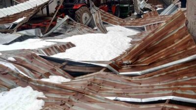 Karabük’te etkili olan kar yağışı nedeniyle bir mandıranın çatısı çökerken,