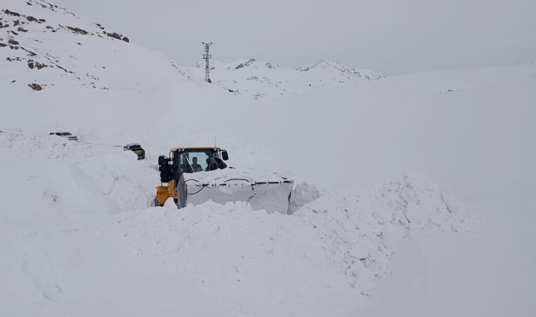 Şırnak’ta karla mücadele timleri 1 aydır yol açma çalışmalarına devam
