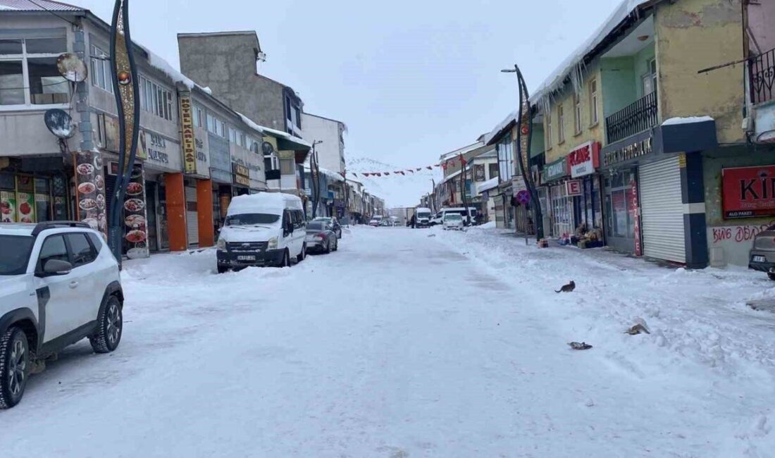 Karlıova’da kar kalınlığı 1 buçuk metreyi bulurken dondurucu soğuk nedeniyle